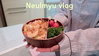 ENG) VLOG Living Alone in Korea Making a Cabbage Rolls, Pollock Roe Stir-fried Udon Lunch Box 🍱