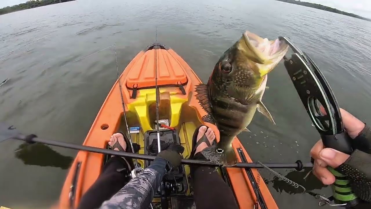 Competição entre amigos quem pega mais peixes