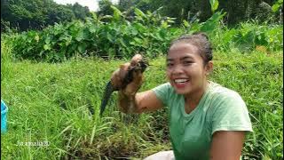 REKOR !!! SAYA MENEMUKAN SARANG IKAN DI RAWA KERING ~ AUTO PANEN IKAN