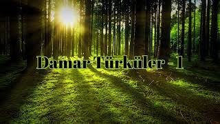 Damar Türküler   1 Resimi