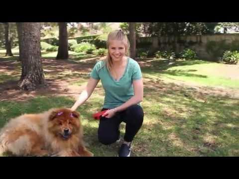 Synovial: Hip & Joint Flex -100% Natural Relief for Dog Arthritis {Becky}