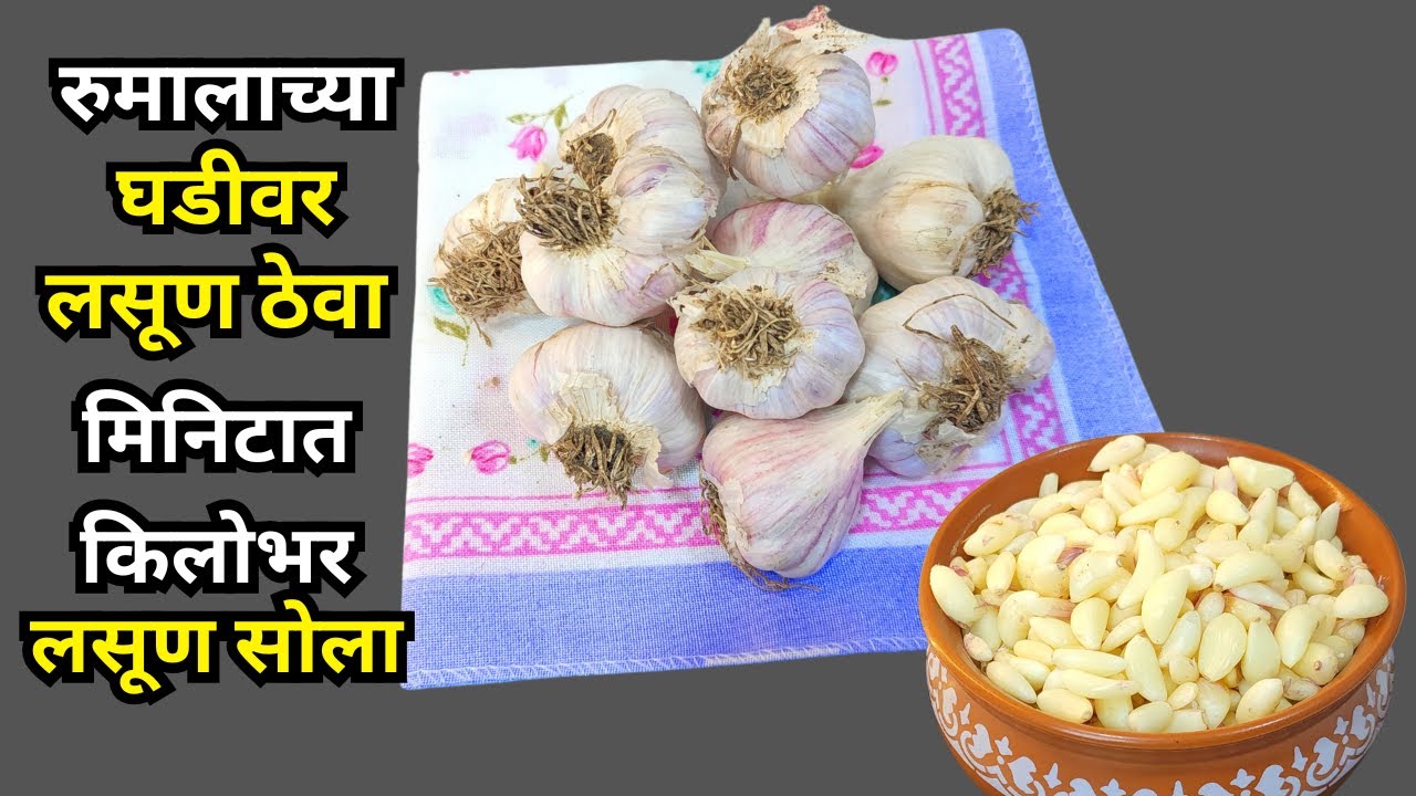 आता लसूण सोलणे झाले खुप सोप्पे । रुमालाच्या घडीवर लसूण ठेवा आणि मिनिटात लसूण सोला