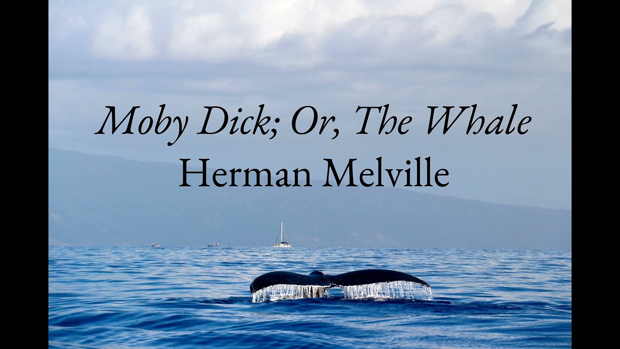 Moby Dick; Or, The Whale: Chapter 133 [Free Audiobook]
