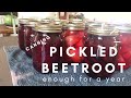 How to Pickle Beetroot -Stocking the Pantry with a years worth of homegrown, pickled & canned Beets