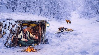 SNOW CAMPING _ Survival in deep snow_Secrets of Survival _ Survival camping in heavy snowfall🏔