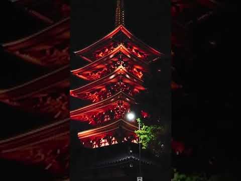 經典短影音剪輯旅遊短片範例薯條貓影音工作室chipscat studio