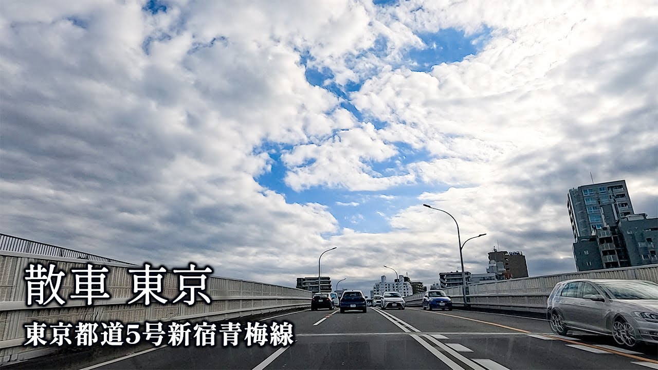 【東京都道走破】都道5号 青梅市から新宿区へ 44kmドライブ