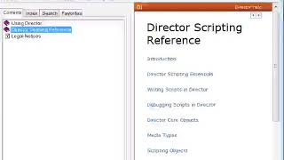 12 01 Director Scripting Essentials