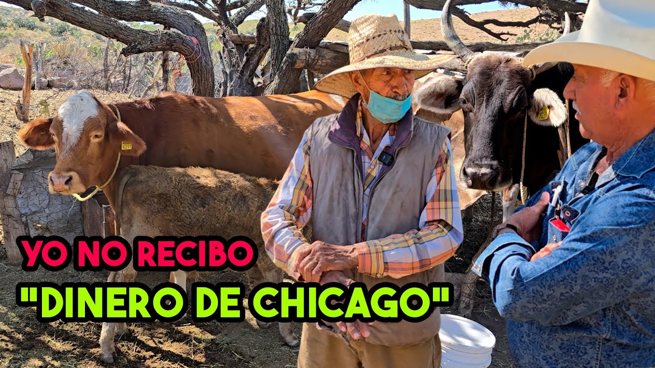 SI YO ESTUVIERA HACIENDOME TARUGO, ya ME HABRÍA TULLIDO