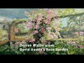 Artist denise wyllie at david austins rose garden