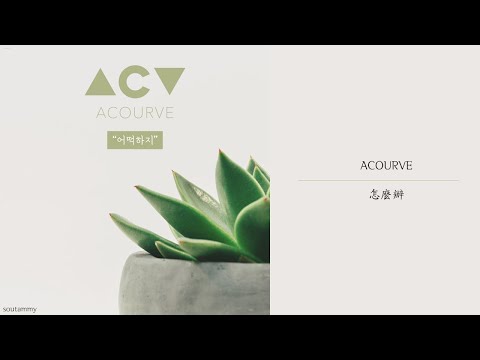 冷門分享🎼【韓繁中字】  어쿠루브 Acourve - 어떡하지 怎麼辦 How