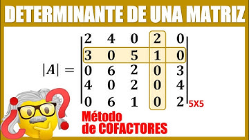 Determinante de una matriz 5X5 por COFACTORES