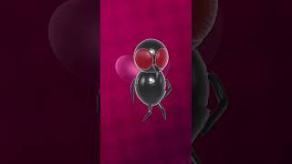 ANT   Pink। wol। टाइटल