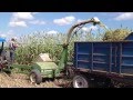 PICANDO SORGO FORRAJERO JOHN DEERE 3760