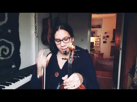 Thomann.de 91 euro Violin Review