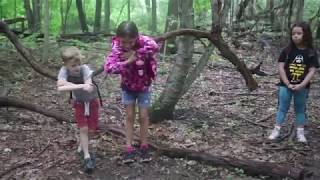 Information Escuelita del Bosque | Spanish Immersion Camp Update