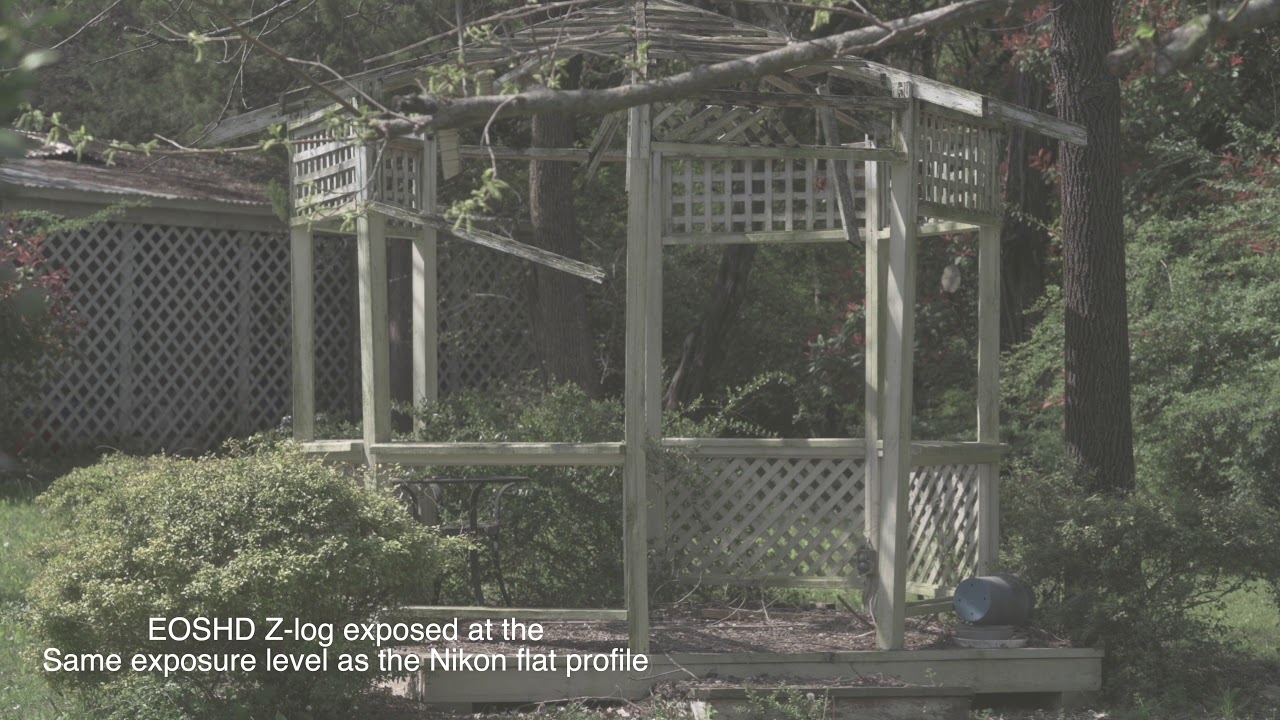 nikon z6 flat profile