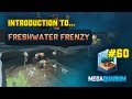 Megaquarium Vlog#60: Introduction to Freshwater Frenzy!