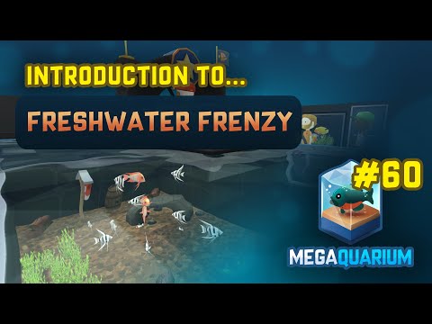 Video: Megaquarium Fishy Management Menambah Pembiakan Dalam Pengembangan Frenzy Air Tawar Yang Baru