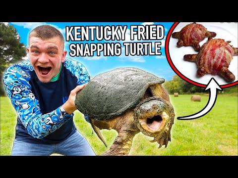 Kentucky Fried Snapping Turtle!