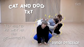 То чего вы не замечали в TXT - 'Cat & dog' Dance practice