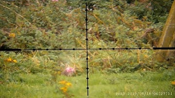 THC -The Hunting Channel | .17HMR Daytime Rabbiting |  Browning T Bolt & Pard NV007