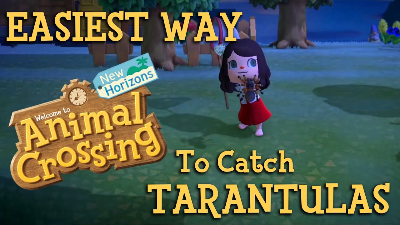 The EASIEST Way To Catch Tarantulas Animal Crossing New Horizons
