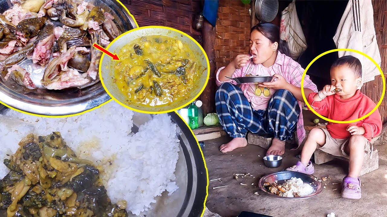 Jina Cooks bullfrog for Jonson II High nutrient food BULLFROG in ...