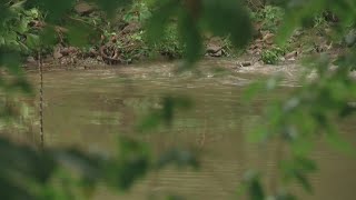 Pataskala city administrator talks about new safety measures near river following water rescue