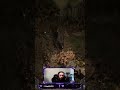 PoE2 Druid Companion Update 1 #gamingshorts #poe2 #minionbuild #pathofexile2