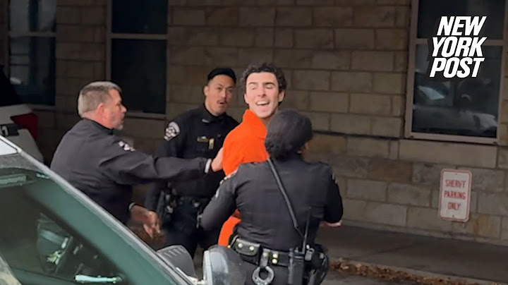 Luigi Mangione screams during court arrival: 'An insult to the intelligence of the American people'