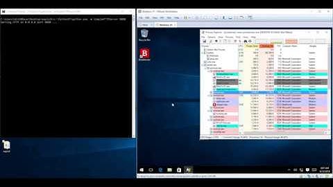 Demonstrating an Integer Overflow in Bitdefender Internet Security