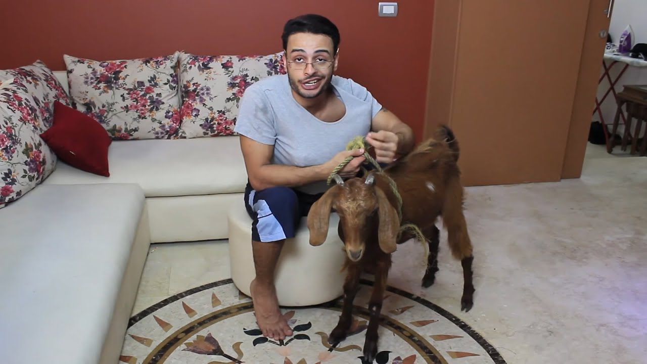 خروف العيد السحري | شادي سرور