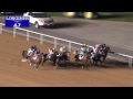 Race 2 - Mina Al Hamriya