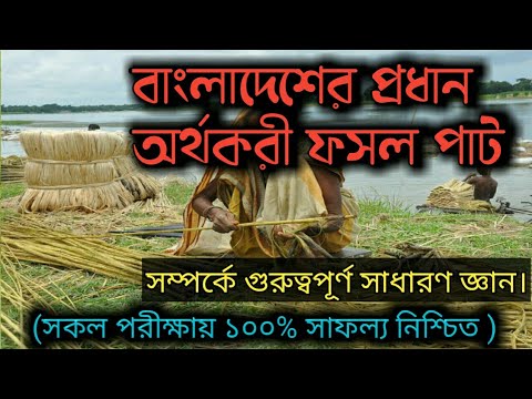 ভিডিও: কোন ফসল সোনালী আঁশ নামে পরিচিত?