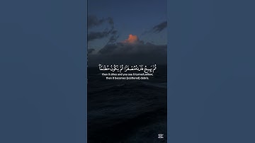 أكتب شيء تؤجر عليه || تلاوة هادئة تصفي الذهن راحة نفسية لا توصف