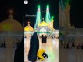 Farhan ali waris  aye hussaini maa status status shorts viral karbala shia hussainivoice