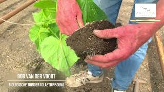 Download Lagu Biologische tuinbouw - Bob vd Voort aan het woord MP3 Download Lagu Biologische tuinbouw - Bob vd Voort aan het woord MP3