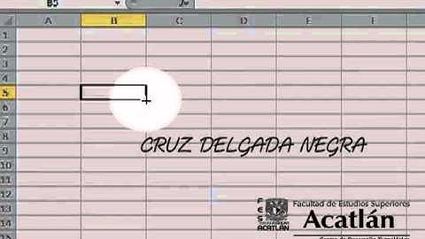 2.1.5 Tipos de puntero