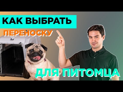 Как выбрать переноску для питомца?