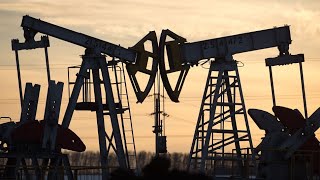Oil Heads for Worst Losing Run Since 2020 Guide