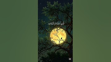القارئ #ياسر_الدوسر #المصحف ي #quran #قرآن