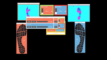 Insole Weight Measurement