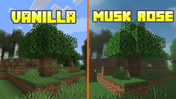 Vanilla vs Musk Rose | Shader Comparison [ 4K 60FPS ]