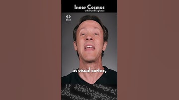 The brain changes when vision disappears | INNER COSMOS WITH DAVID EAGLEMAN #shorts