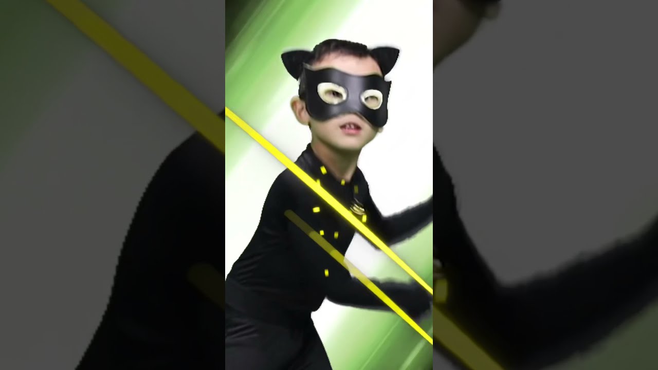 Miraculous Cat Noir Dress Up Set vrogue.co