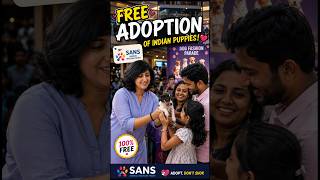 Free dogs and kittens SANS Animal Trust #dog#cat#dogadoption#dogvideos#puppy#adoptdontshop#sans