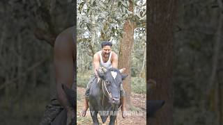 This Is My Kalipan Raja