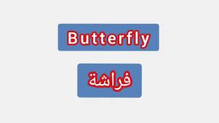 '' Butterfly ..  ترجمة كلمة انجليزية الى العربية - ''   فراشة