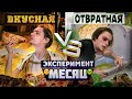 Неделя с ОТВРАТИТЕЛЬНОЙ ЕДОЙ VS Неделя с ВКУСНЕЙШЕЙ | Эксперимент, как вкус влияет на жизнь?